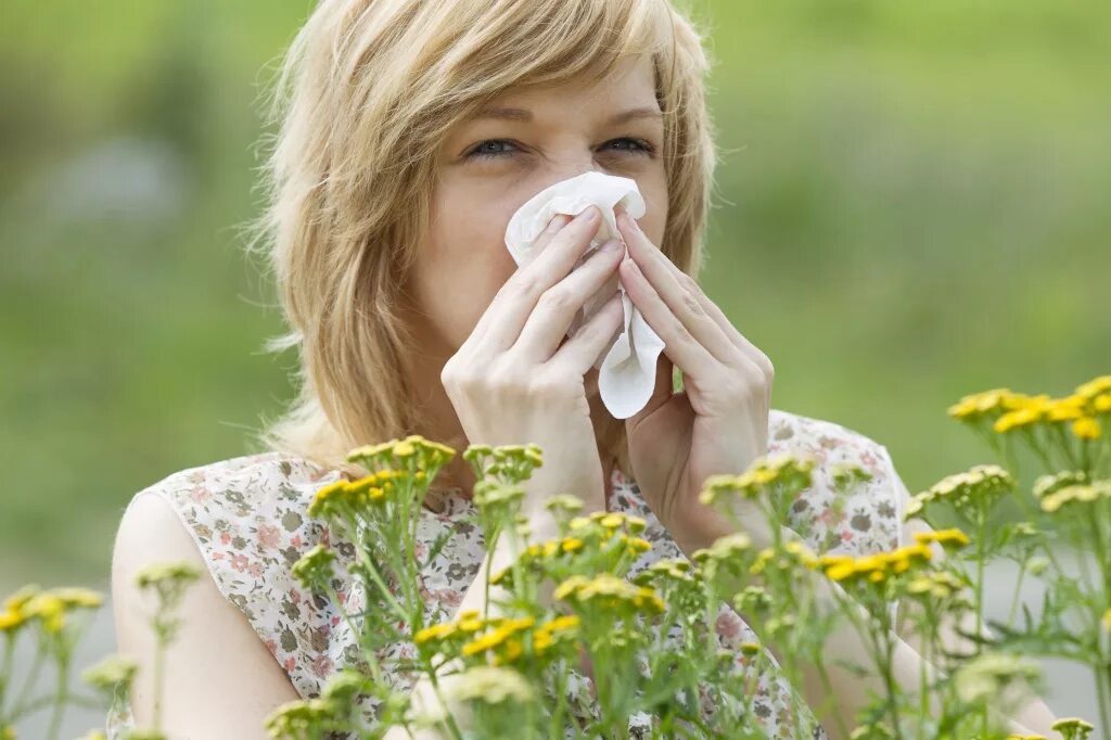 Поллиноз Сенная лихорадка. Аллергический поллиноз аллергены. Аллергия поллиноз. Поллиноз (аллергия на пыльцу).