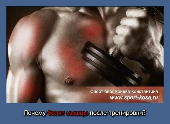 Боли в мышцах после тренировки почему. Мышцы после тренировки. Боль в мышцах после нагрузки. Болят мышцы после нагрузки. Ломит мышцы после тренировки.