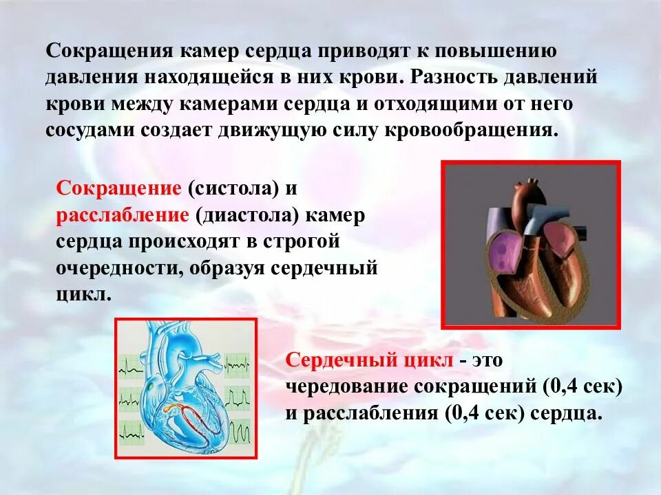 Деятельность сердца. Сокращение камер сердца. Систола предсердий желудочки расслабляются. Читать в сокращении сердце. Сердце робота.