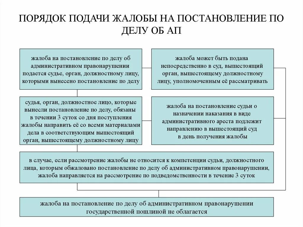 Может быть обжалован в течении. Коап схема обжалования постановления мирового судьи. обжалование по коап рф схема. схема обжалования дел об административных правонарушениях. схема обжалования судебных решений по административным делам.