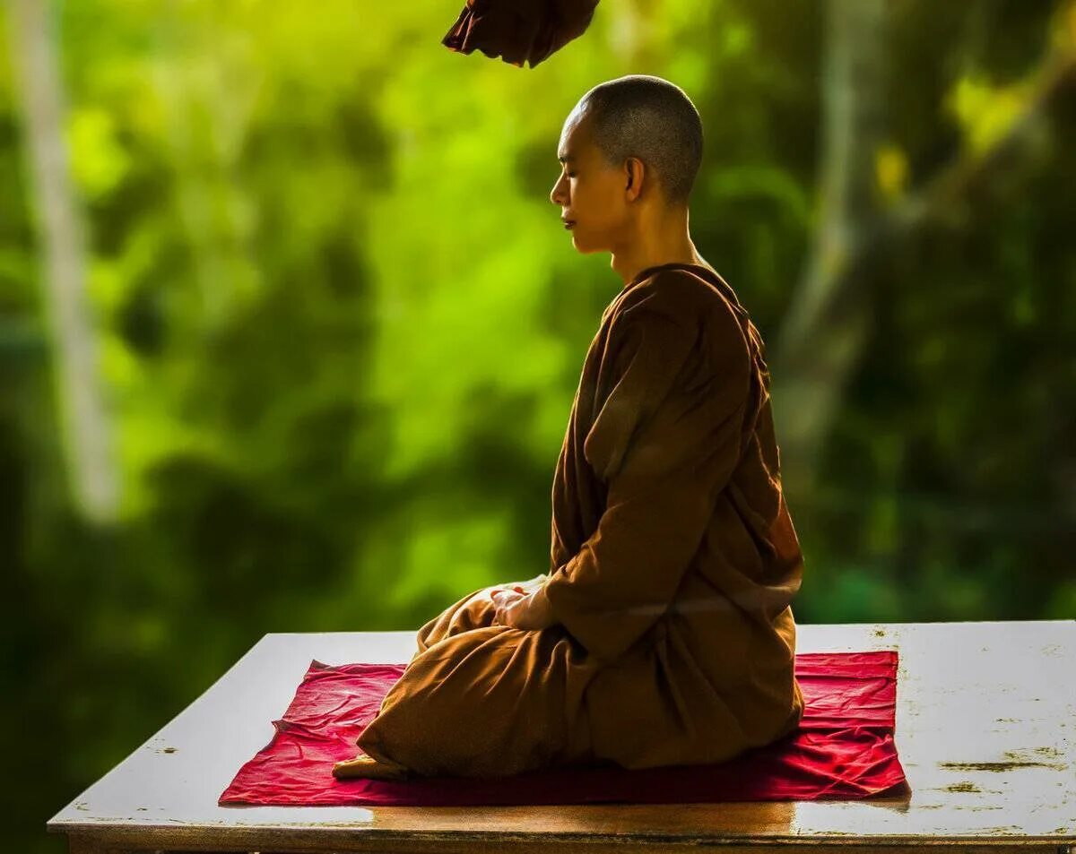 Медитация получи. Випассана Гоенка. Будда Випассана. Медитация монах. Дзен медитация.