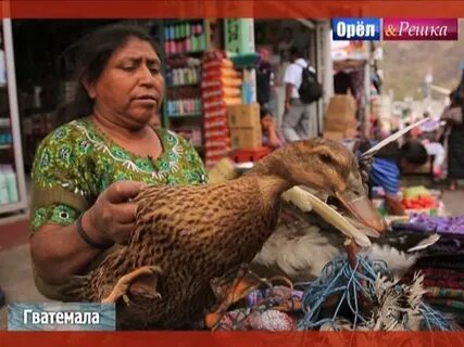 Орел и решка варанаси