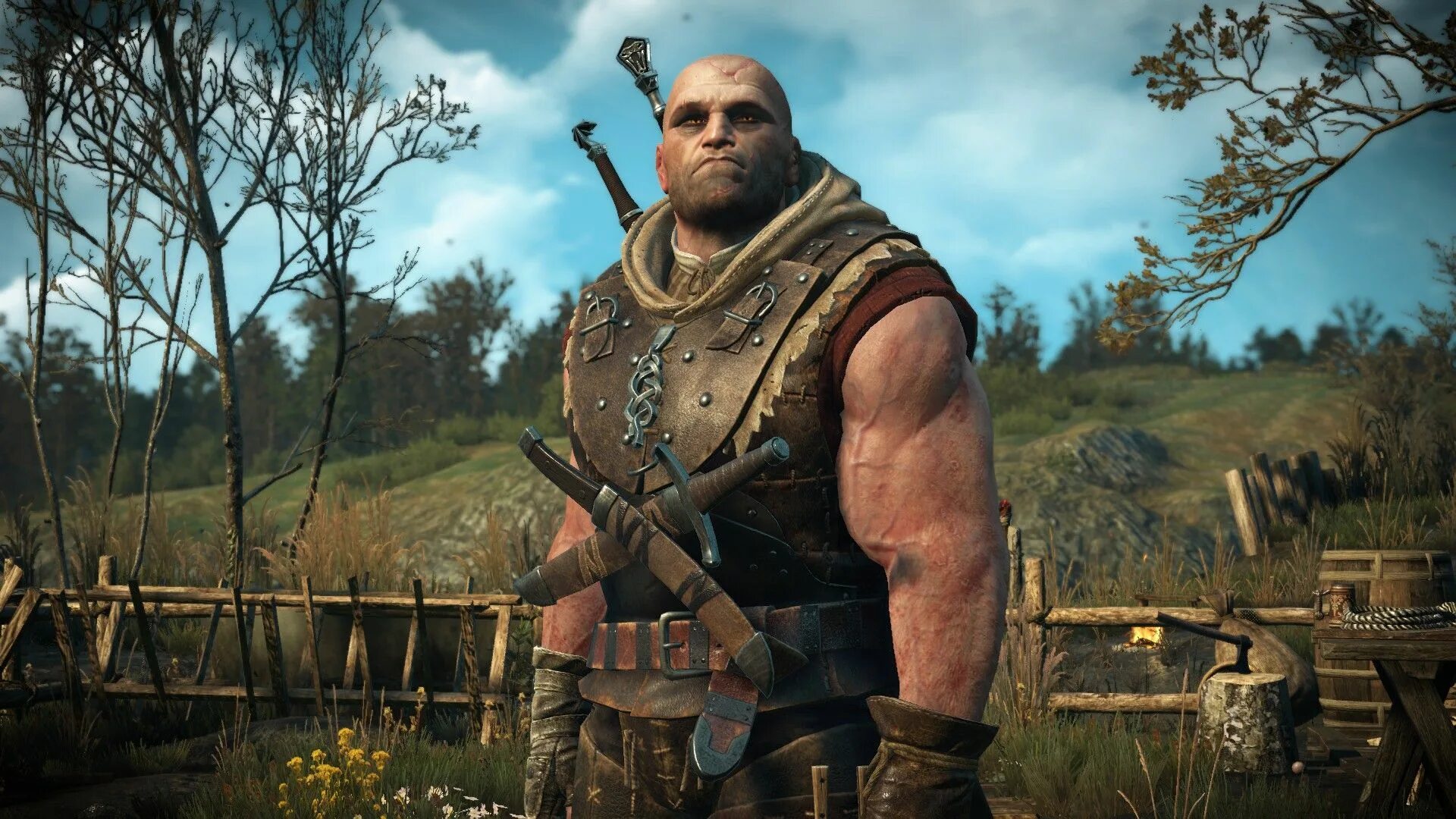 Ведьмак 3 как найти лета. Лето из гулеты ведьмак. witcher 2 лето из гулеты. лето из гулеты ведьмак 3. лето из гулеты  the witcher 3.