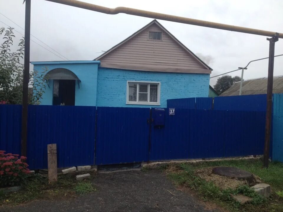 Красненский район липецкая область. Лески краснинский. Лески краснинский район. Красное (краснинский район, липецкая область). Липецкая область краснинский район село красное.