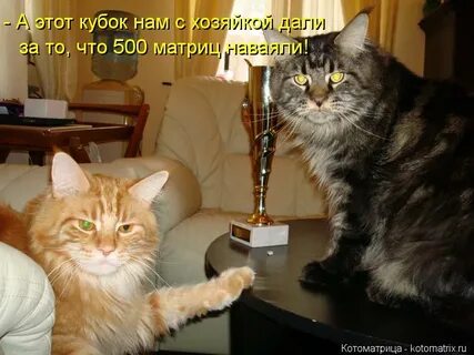 Сводный наглый мой