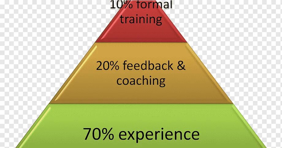 Иерархия рас человека. Расовая иерархия. Шкала тренинга лошади. Таблица рас гитлера. Иерархия культов.