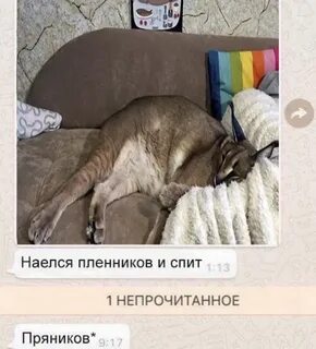 Я наелся ангарск