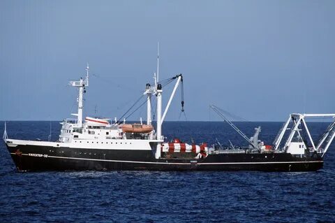 Тендер 16