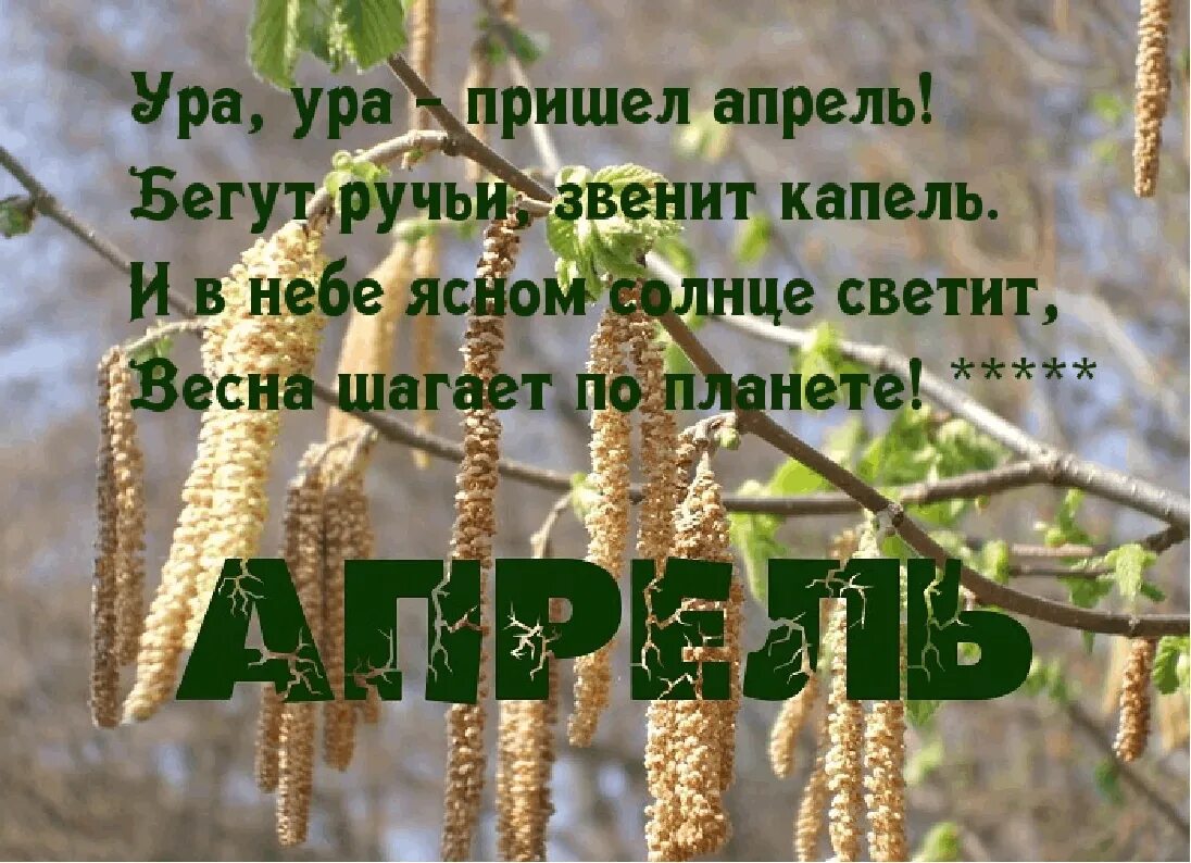 Здравствуйте сегодня я прихожу. Апрель пришел. Апрель надпись.