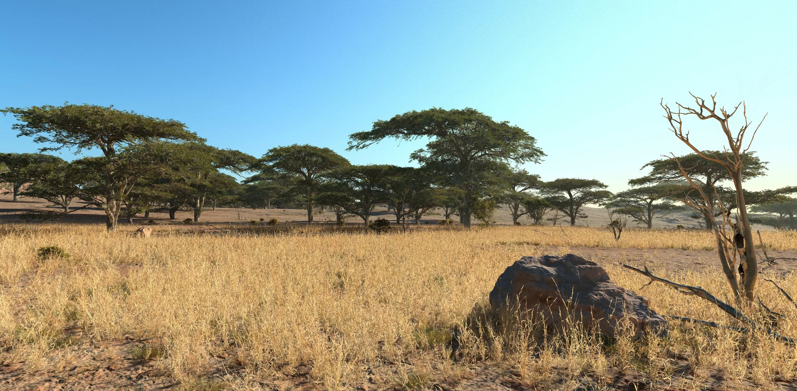 Растительность саванны южной америки. Растительность саванны южной америки. Акации серенгети. Редколесья южной америки. Растительность саванны южной америки.