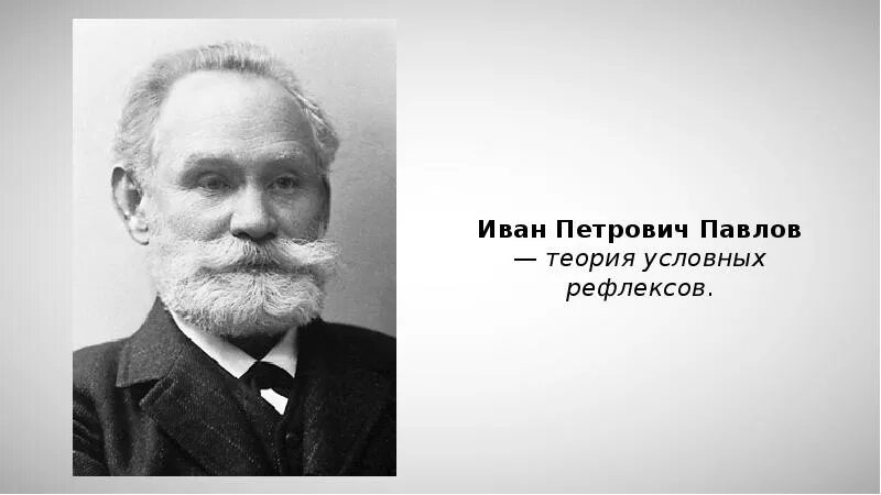 Теория и п павлова. Теория Ивана Петровича Павлова.