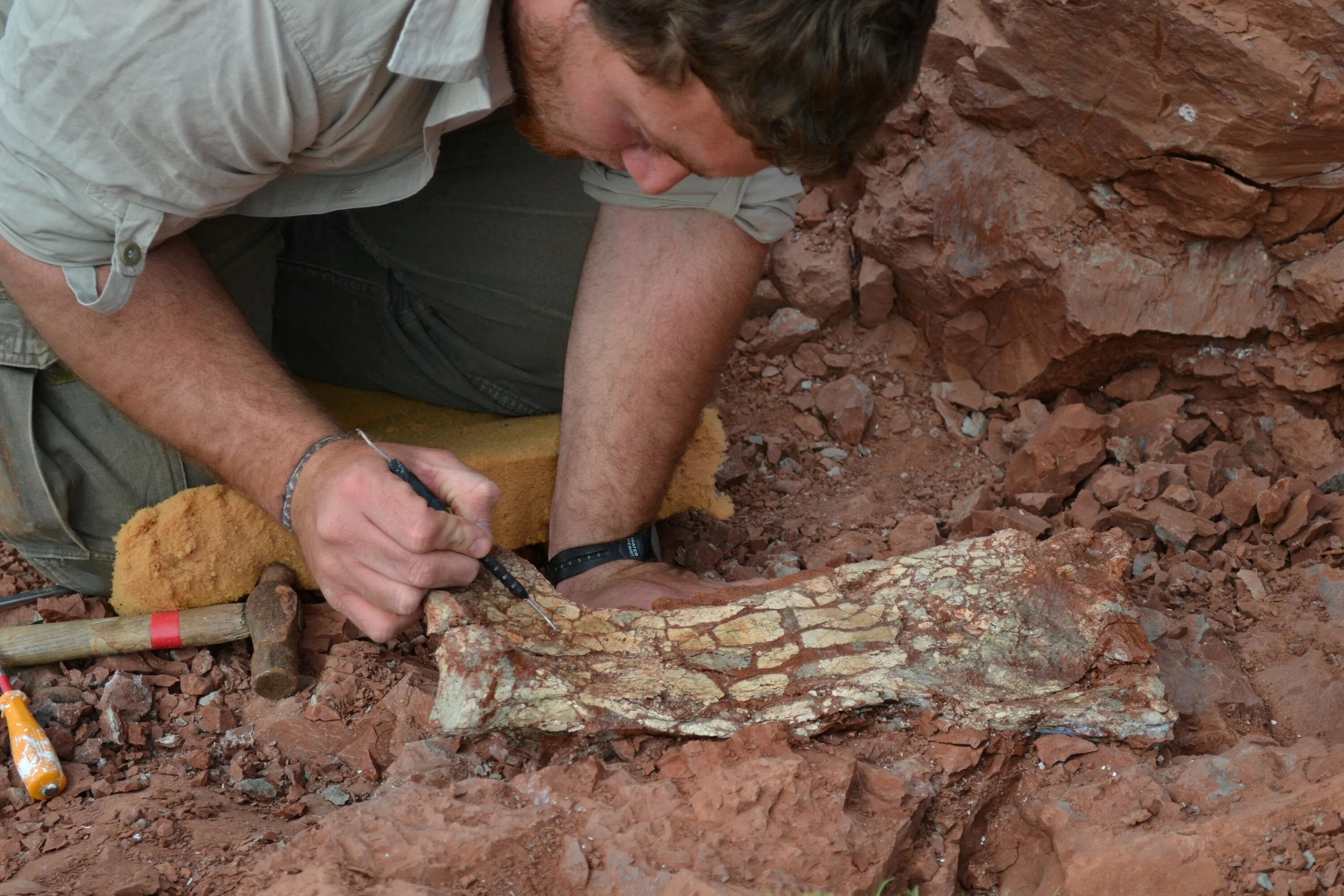 Нашли доисторическую девушку 40 миллионов лет. Останки динозавров. Палеонтолог.