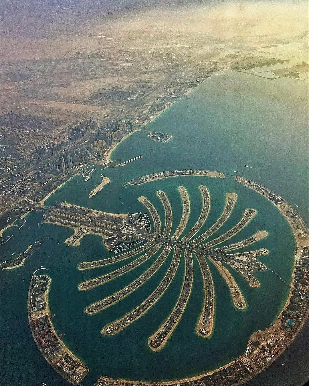 Пальма Джумейра Дубай. Остров Пальма в Дубае. Пальм Джумейра Palm Jumeirah. Искусственный остров Пальма Джумейра.