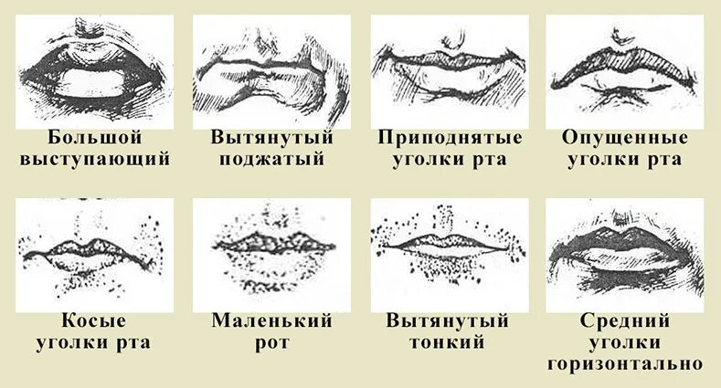 Как будет маленький рот. Форма губ криминалистика. Типы ртов у людей. Виды губ криминалистика.