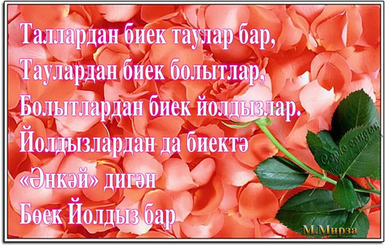 Энилэр коне. Открытка нэнэйлер коне белэн. Энилэр коненэ котлау сузлэре в картинках. 8 Март бэйрэме белэн картинки. 8 мартка шигырьләр татарча