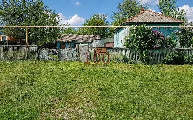Погода рп5 дмитриевская. Станица дмитриевская краснодарский край.