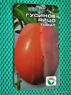 Томат гусиное яйцо