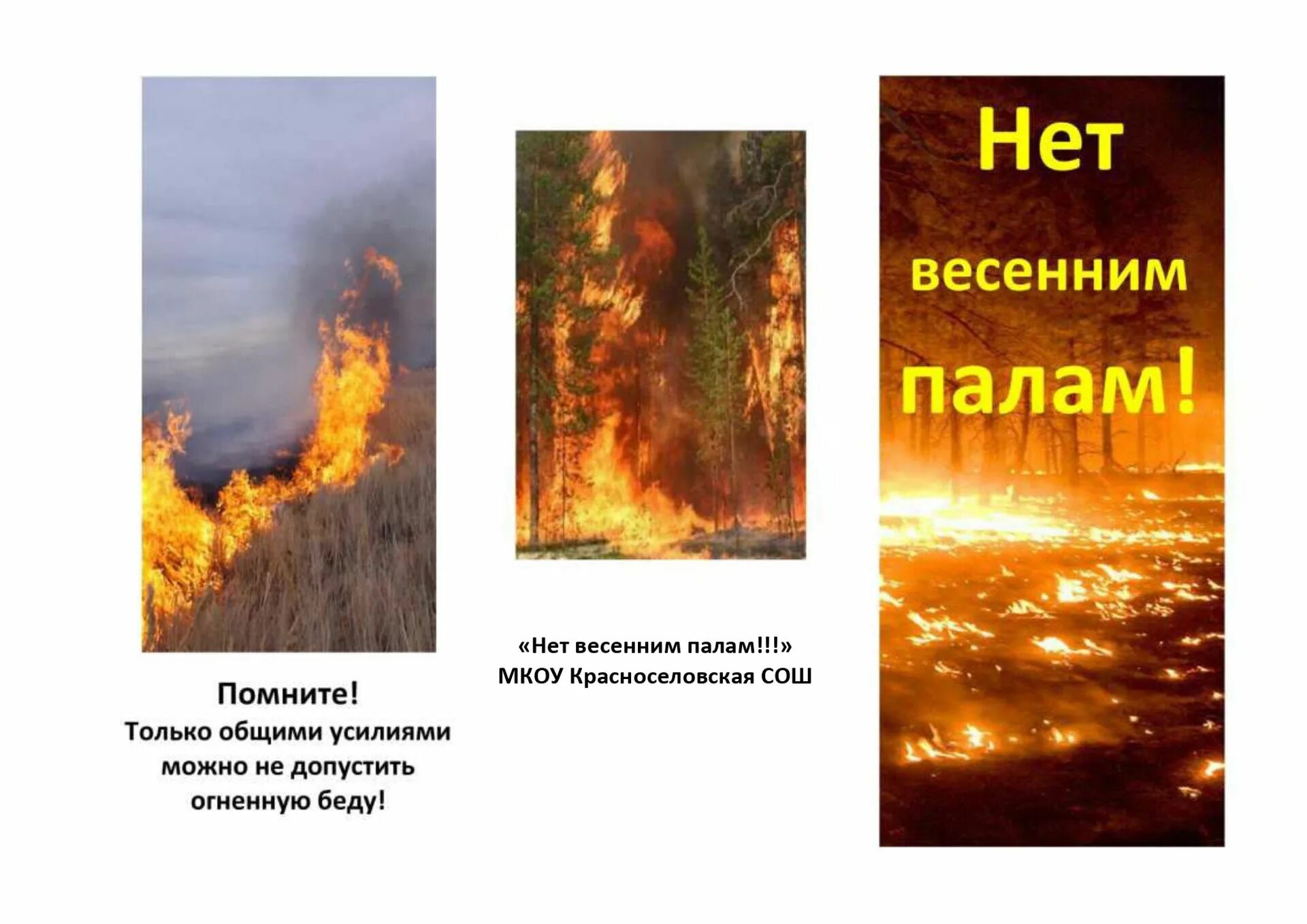 Акции пал пал. Нет весенним палам. Буклет нет весенним палам. Нет весенним палам листовки. Весенний пал.