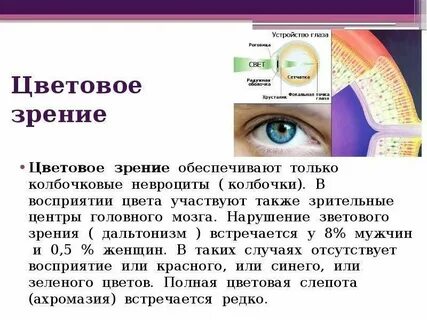 Почему глаз видит точку