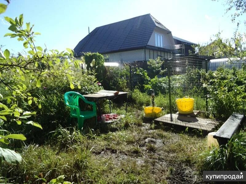 Снт разлив 13 дорожка участок 2515. Снт разлив карта. Снт разлив сестрорецк. Снт разлив. Снт разлив.