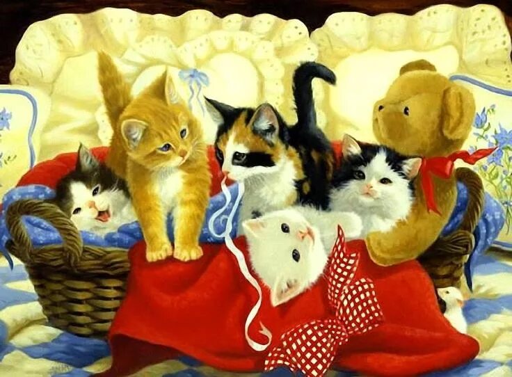 05 cat