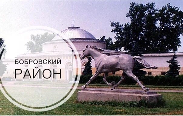 М пескова. Бобровский воронеж. Воронежский графский заповедник. Воронежский графский заповедник. Бобровский мясокомбинат россошь.