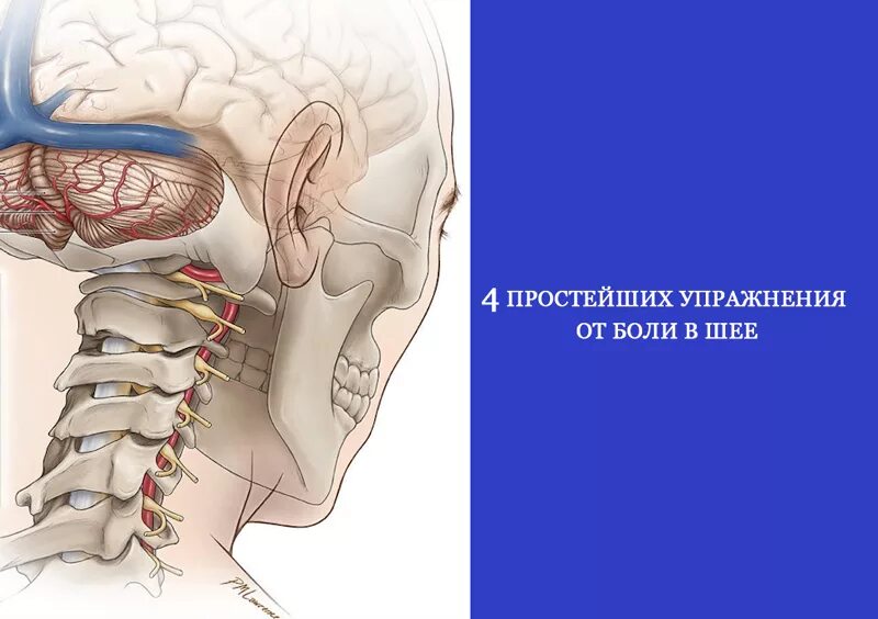 Болит шея при поворотах врач. Боль в шее упражнения. болит шея упражнение.