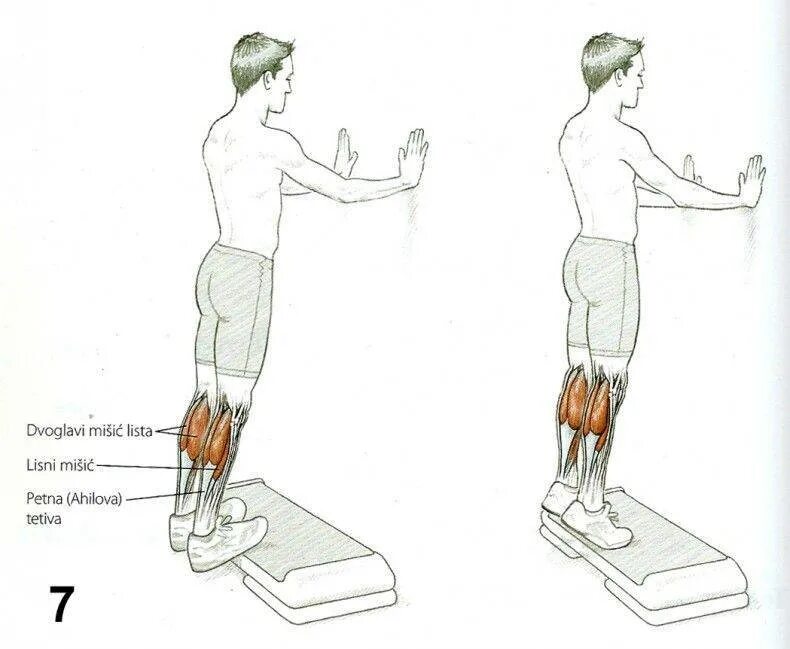 Какая нога сильнее. Икроножные мышцы подъем на носки стоя. Подъём икроножных мышц стоя. Подъем на икры стоя. Тренажёр для икроножных мышц чертежи.