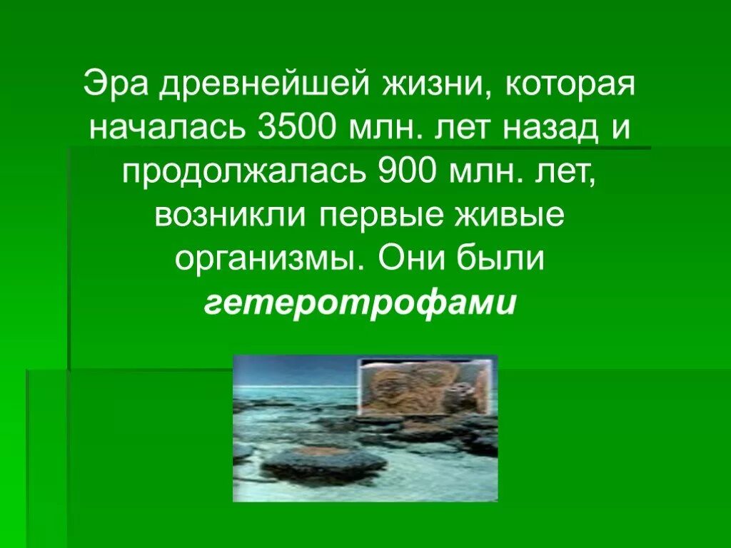 Эра древнейшей жизни. 3500 Млн лет назад Эра. Архейская Эра началась 3500 млн. Презентация на тему Архейская Эра.