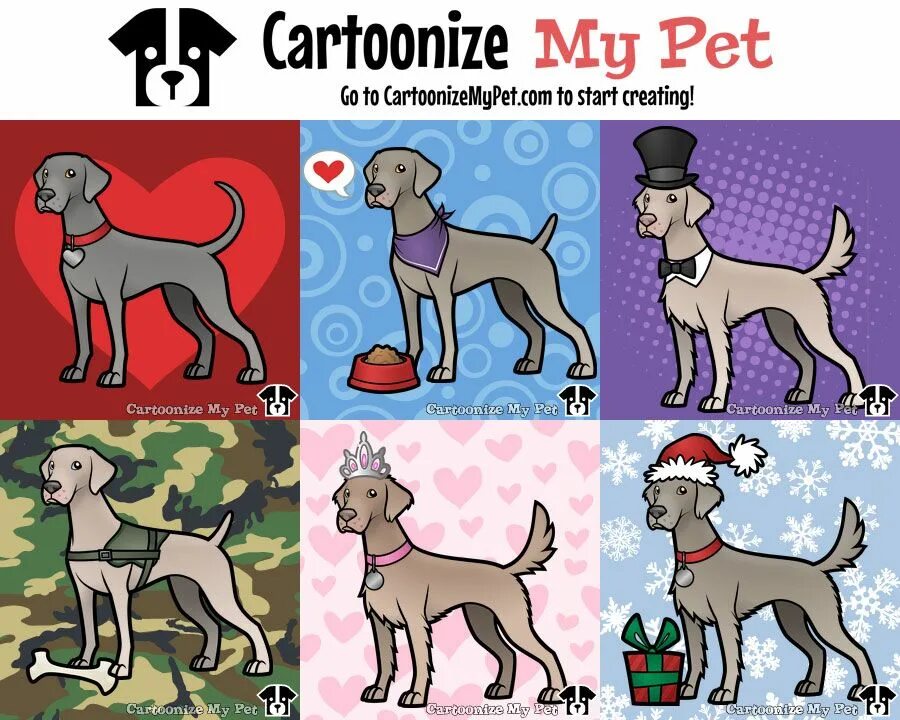 Pet создать. CARTOONIZEMYPET кошки. Открытки щенка веймаранера. Cartoonize my Pet. Cartoonize.