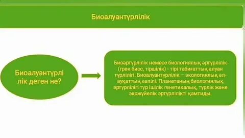 XXX видеодағы орыс әйелдері