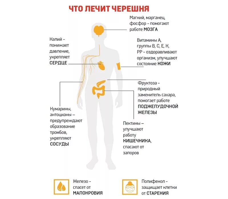 Черешня при подагре можно. Черешня польза. черешня польза и вред для здоровья человека. черешня полезные свойства. черешня полезные свойства для человека.