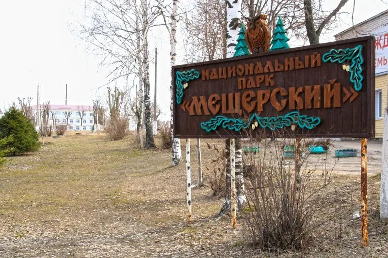 Мещера клепики. Паустовский спас клепики. спас клепики национальный парк мещерский. спас клепики мещера. спас клепики лес.