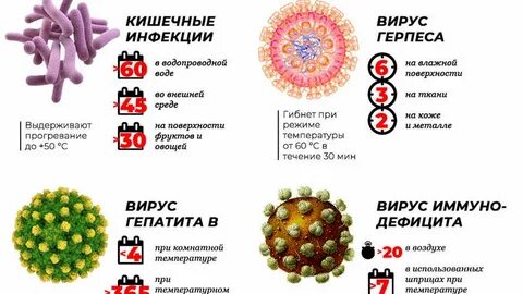 Сколько вирусов в воде