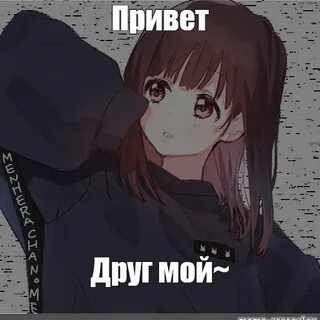 Ну привет текст