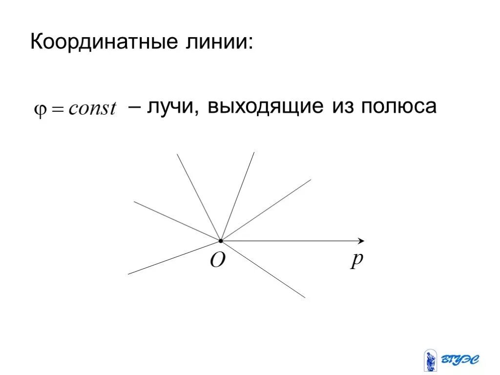 Координатная линия.