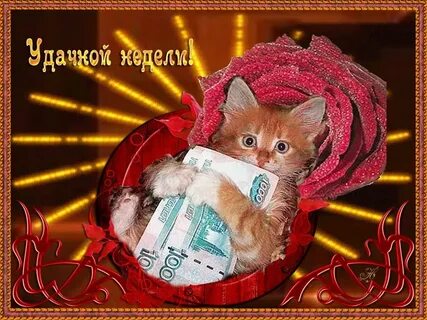 Приятной недели