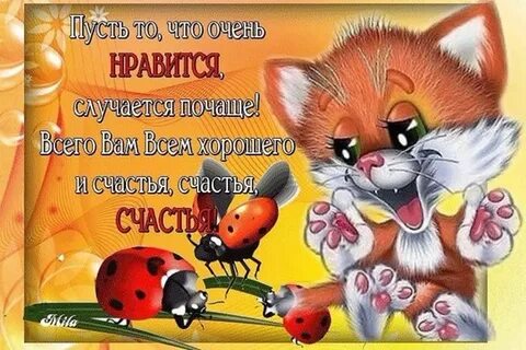 Всего тебе наилучшего и побольше