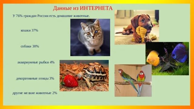 Как выбрать домашнего питомца. Как выбрать домашнего питомца