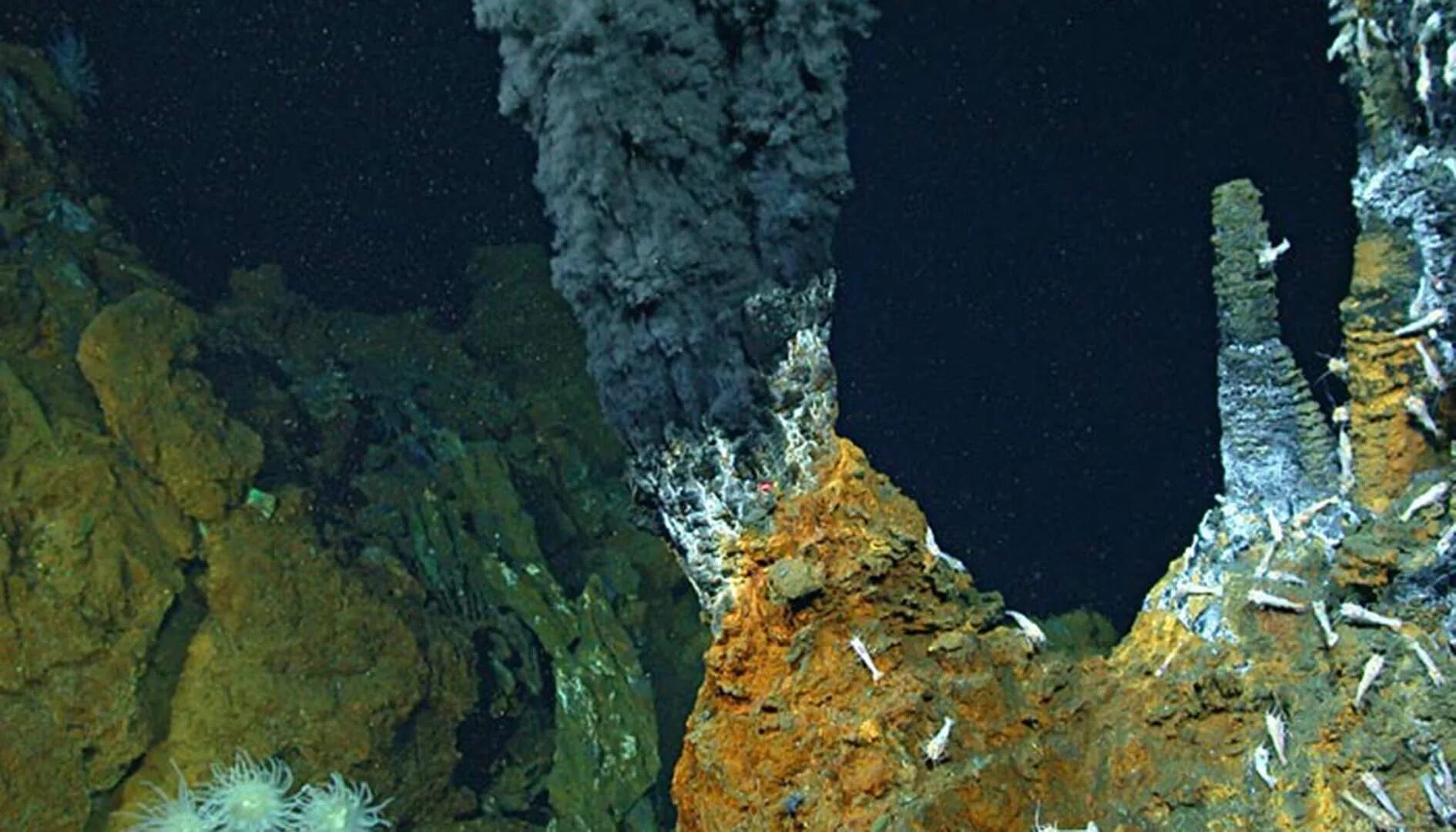 Подводный вулкан в Марианской впадине. Тихий океан гидротермальные источники. Черные курильщики». Гидротермальные источники в океане.. Глубоководные рифтовые зоны. Вулканы на дне океанов