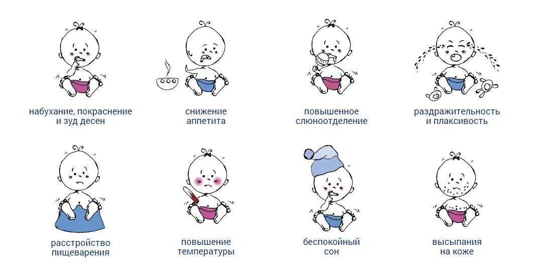 Когда лезут зубы у ребенка какие симптомы. Симптомы при прорезывании зубов. симптомы при прорезания зубов. прорезывание зубов у детей.