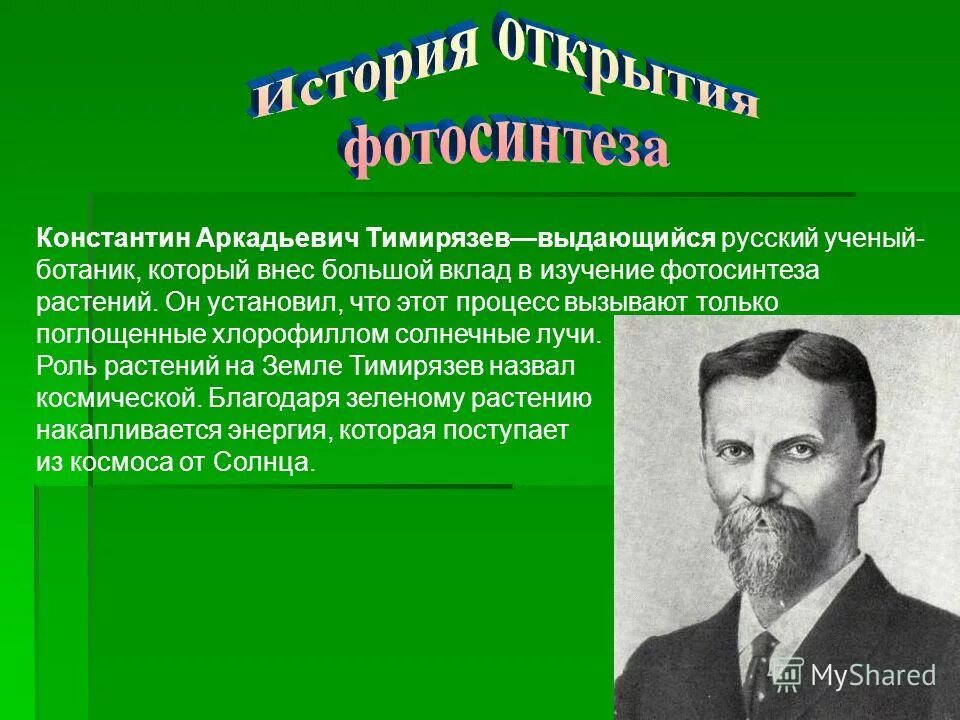 Фотосинтез открытие Тимирязева. К А Тимирязев фотосинтез 1869. Биография навашина