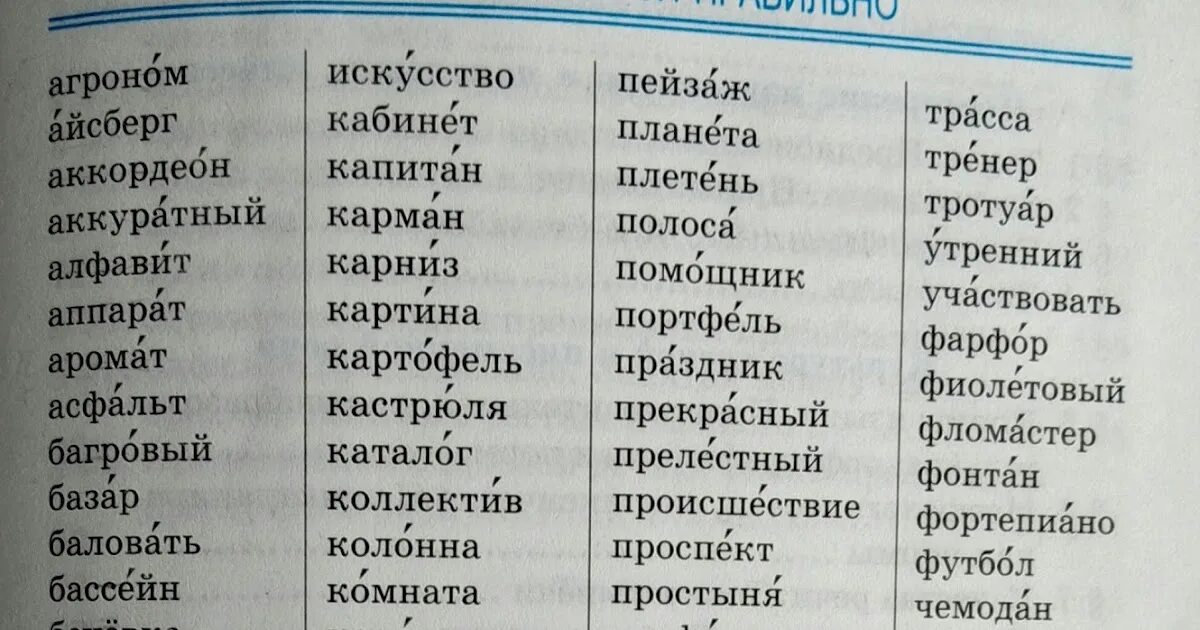 Словарные слова за 5 класс. Словарные слова 6 класс по русскому языку. Словарные слова 6 класс по русскому языку ладыженская. Словарные слова для 5 класса 20 слов. Русский язык 6 класс словарные слова ладыженская