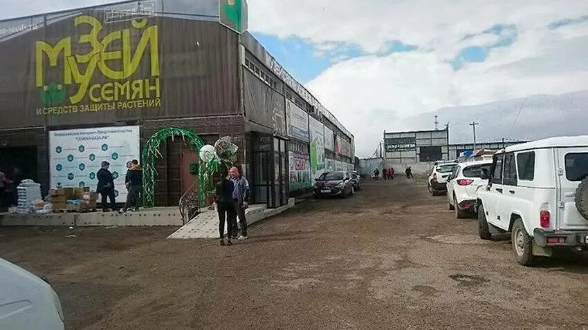 Музей семян волгоград. Семена грабежа. Где в Волгограде находится музей семена.