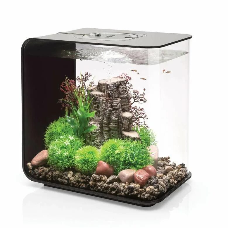 Аквариумы л. Аквариум BIORB Flow 30 led. Аквариум BIORB Flow 15 led. BIORB Flow 30 MCR. Аквариум из акрила BIORB Flow 15 led Black.