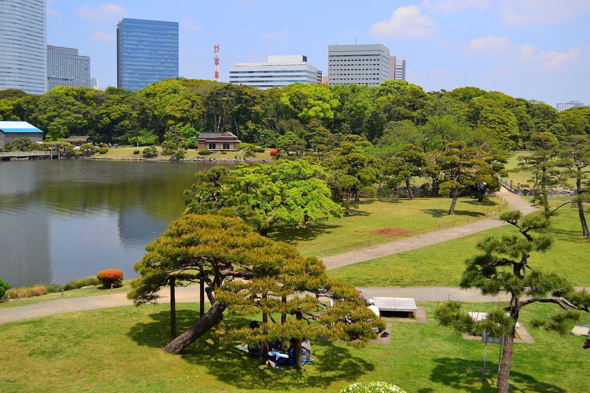отдых в японии. чидоригафучи парк токио. киото фудзияма. отдых в японии. чидоригафучи токио.