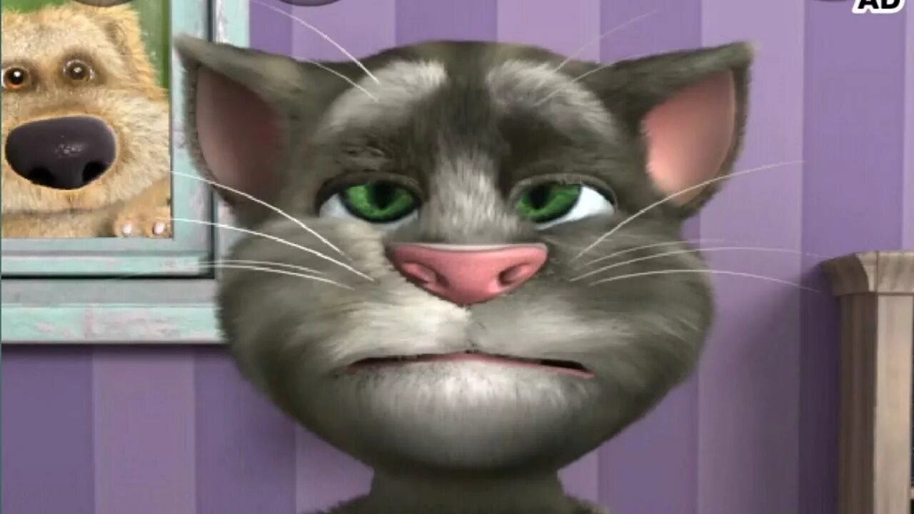 Tom cat 2 3. Игра talking Tom Cat (2010). Talking Tom Cat 2013. Talking Tom Cat 2010 обновление. Talking Tom Cat 2.