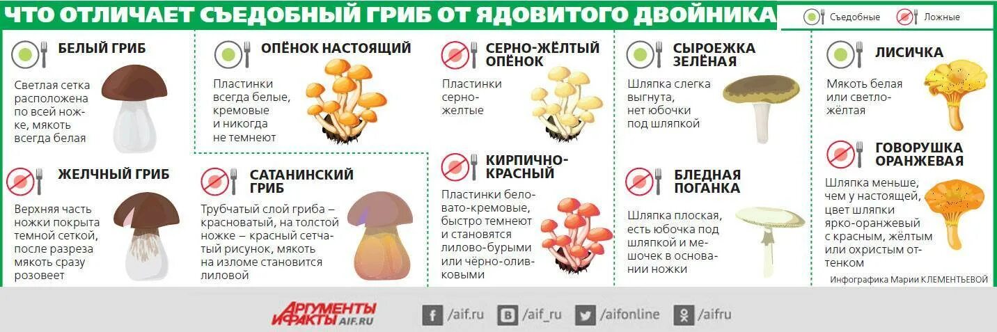 Определите признаки грибов. Как отличить съедобный гриб от ядовитого памятка. Съедобные грибы и ядовитые грибы таблица. Как отличить ьедобный гриб от не ссьедобного. Сравнение ядовитых и съедобных грибов.