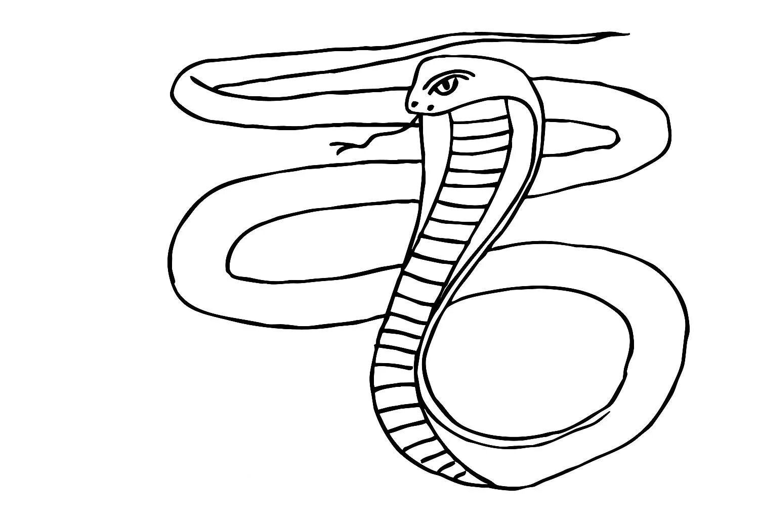 Раскраска змея Кобра. Степная гадюка раскраска. Раскраска змеи для детей. Змея раскраска для детей. Раскраска змей для детей