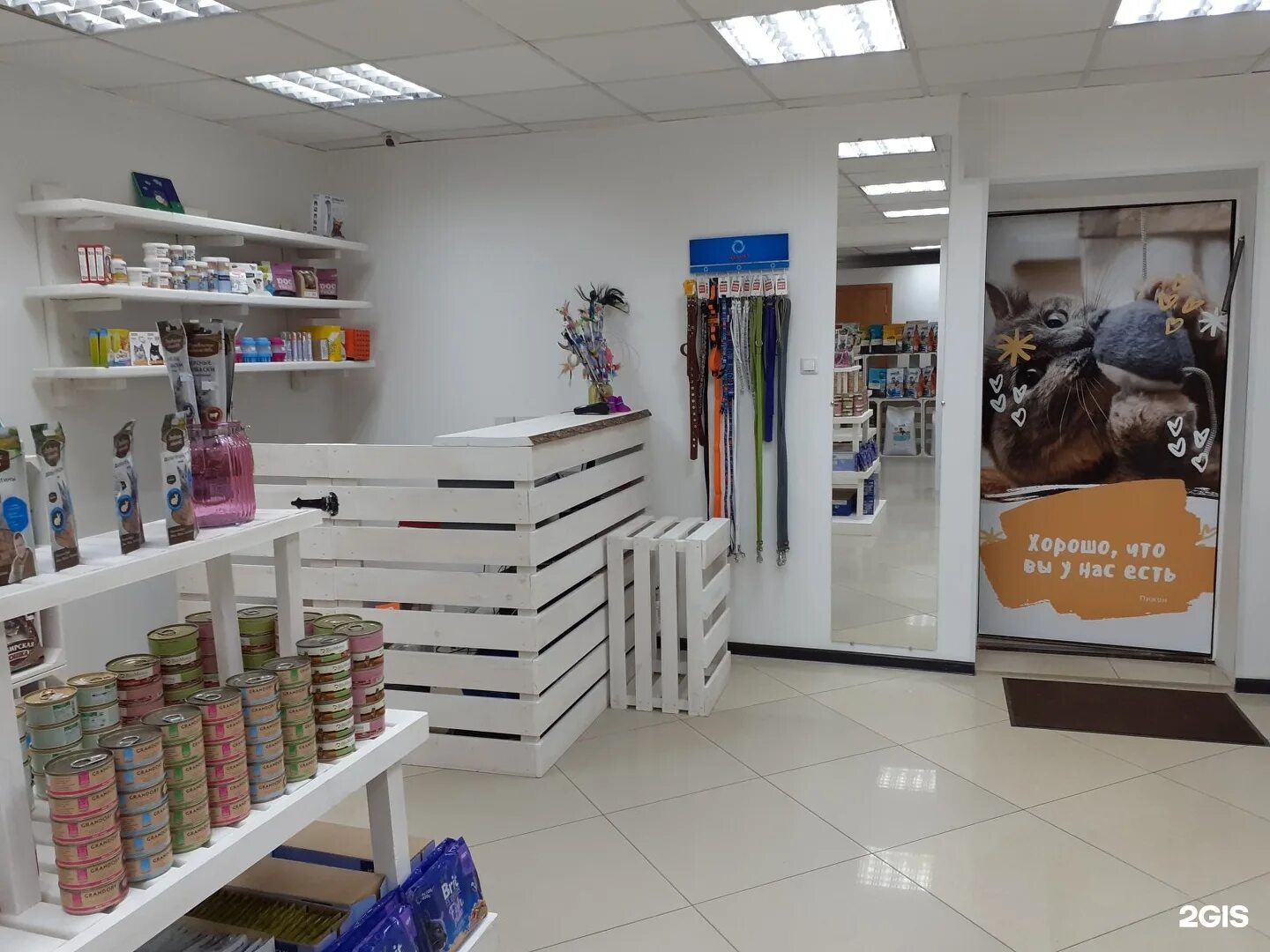 Пижон зоомагазин. Вольт сургут. Зоомагазин вольт. Вольт сургут. Вольт сургут.